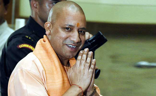 Yogi cashless 